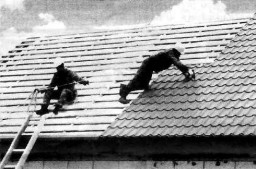 Поколение молодых мастеров Поколение молодых мастеров