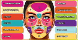 Почему так полезна диагностика по карте лица Почему так полезна диагностика по карте лица